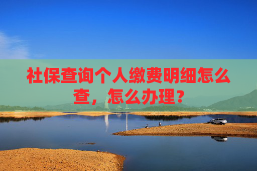 社保查询个人缴费明细怎么查，怎么办理？