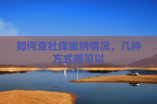 如何查社保缴纳情况，几种方式都可以