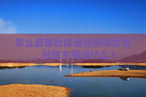 怎么查看社保是否参保状态，社保主要保什么？