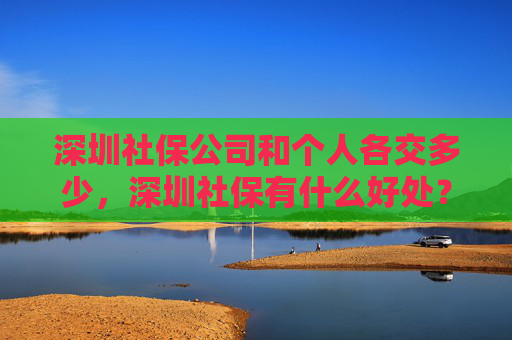 深圳社保公司和个人各交多少，深圳社保有什么好处？