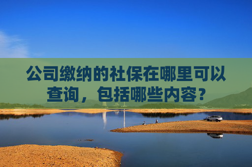 公司缴纳的社保在哪里可以查询，包括哪些内容？