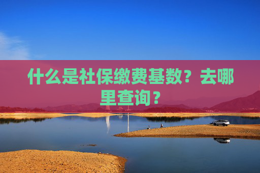 什么是社保缴费基数？去哪里查询？