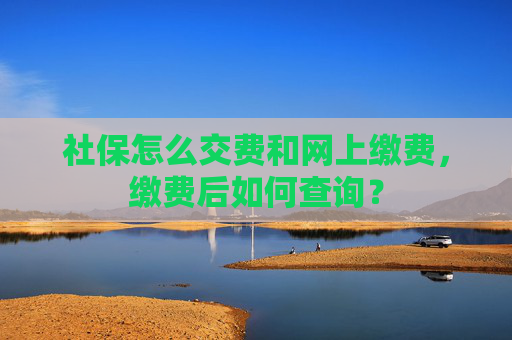 社保怎么交费和网上缴费，缴费后如何查询？
