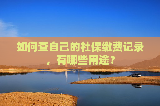 如何查自己的社保缴费记录，有哪些用途？