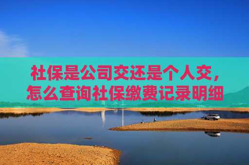 社保是公司交还是个人交，怎么查询社保缴费记录明细？