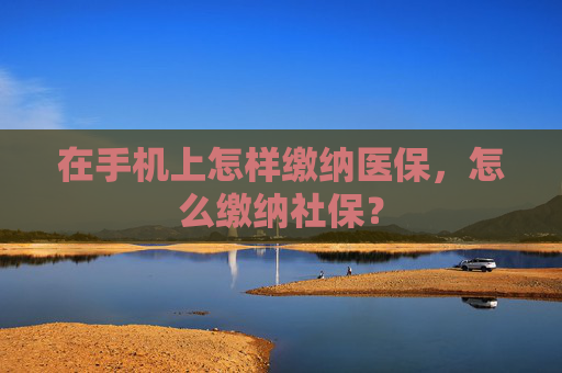 在手机上怎样缴纳医保，怎么缴纳社保？