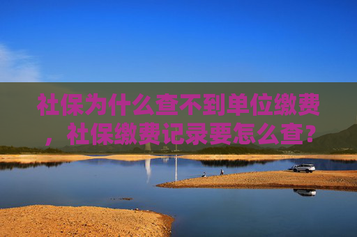 社保为什么查不到单位缴费，社保缴费记录要怎么查？