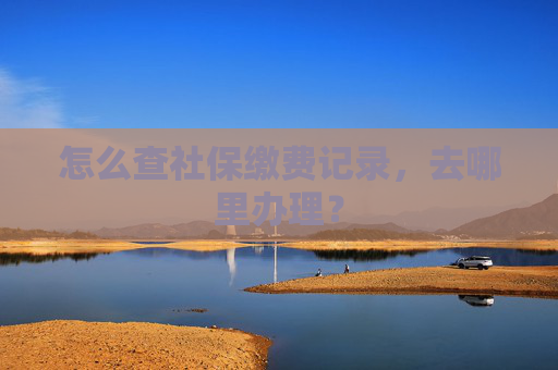 怎么查社保缴费记录，去哪里办理？