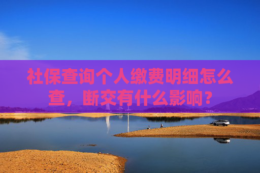 社保查询个人缴费明细怎么查，断交有什么影响？