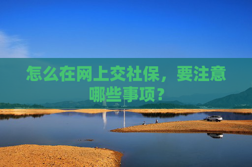 怎么在网上交社保，要注意哪些事项？
