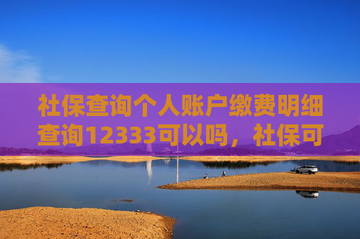 社保查询个人账户缴费明细查询12333可以吗，社保可以补交吗？