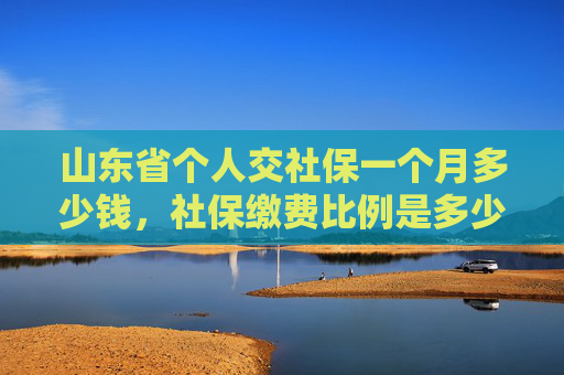山东省个人交社保一个月多少钱，社保缴费比例是多少？
