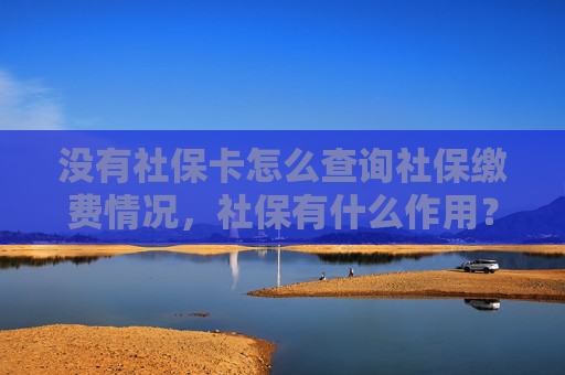 没有社保卡怎么查询社保缴费情况，社保有什么作用？