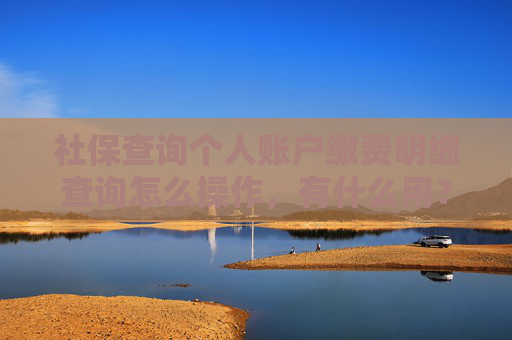 社保查询个人账户缴费明细查询怎么操作，有什么用？