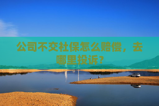公司不交社保怎么赔偿，去哪里投诉？