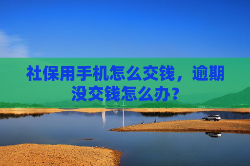 社保用手机怎么交钱，逾期没交钱怎么办？