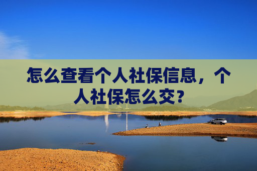怎么查看个人社保信息，个人社保怎么交？