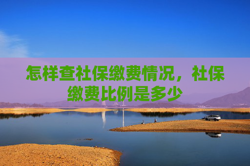 怎样查社保缴费情况，社保缴费比例是多少
