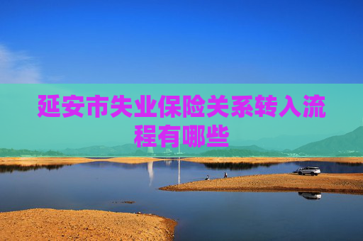 延安市失业保险关系转入流程有哪些