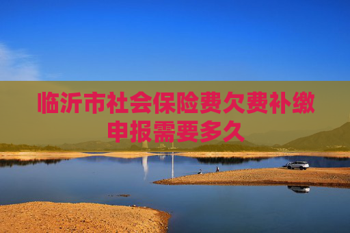 临沂市社会保险费欠费补缴申报需要多久