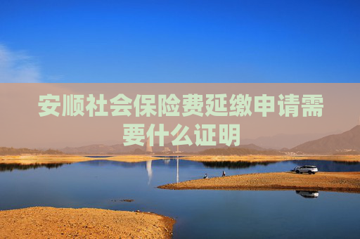 安顺社会保险费延缴申请需要什么证明