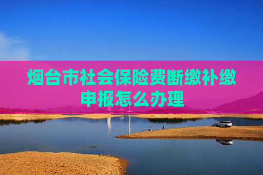 烟台市社会保险费断缴补缴申报怎么办理