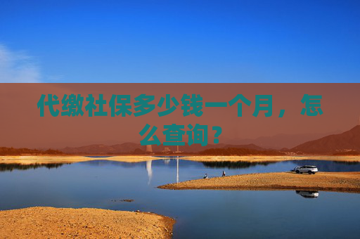 代缴社保多少钱一个月，怎么查询？