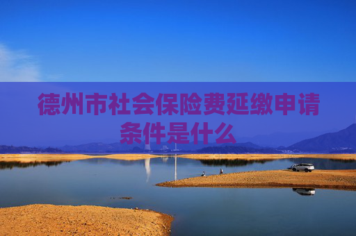 德州市社会保险费延缴申请条件是什么