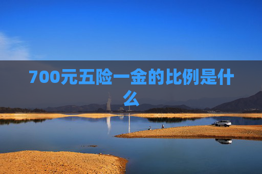 700元五险一金的比例是什么
