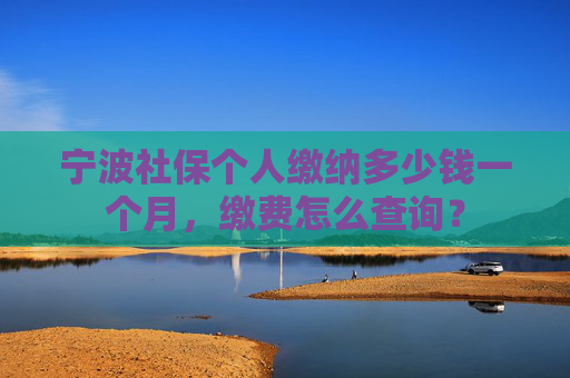 宁波社保个人缴纳多少钱一个月，缴费怎么查询？