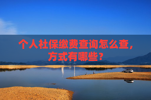 个人社保缴费查询怎么查，方式有哪些？