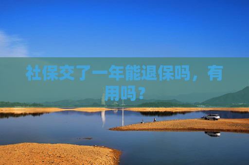 社保交了一年能退保吗，有用吗？
