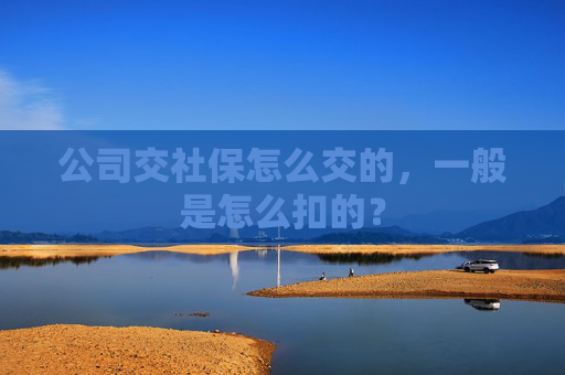 公司交社保怎么交的，一般是怎么扣的？