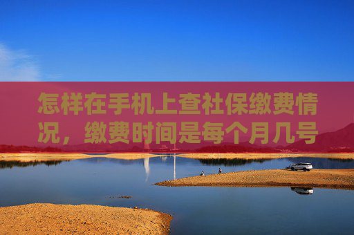 怎样在手机上查社保缴费情况，缴费时间是每个月几号？