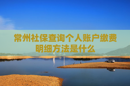 常州社保查询个人账户缴费明细方法是什么