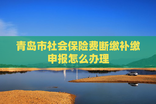 青岛市社会保险费断缴补缴申报怎么办理