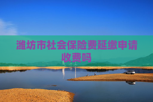 潍坊市社会保险费延缴申请收费吗