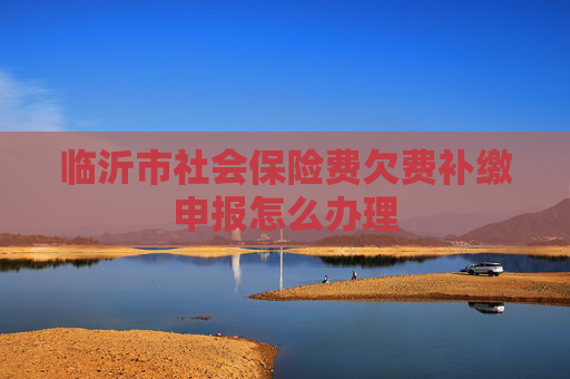 临沂市社会保险费欠费补缴申报怎么办理