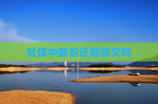 社保中断后还能续交吗