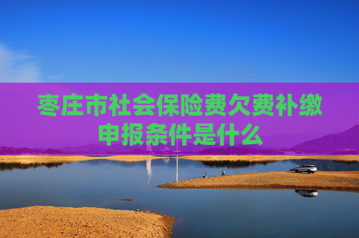 枣庄市社会保险费欠费补缴申报条件是什么