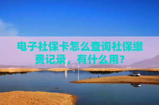 电子社保卡怎么查询社保缴费记录，有什么用？