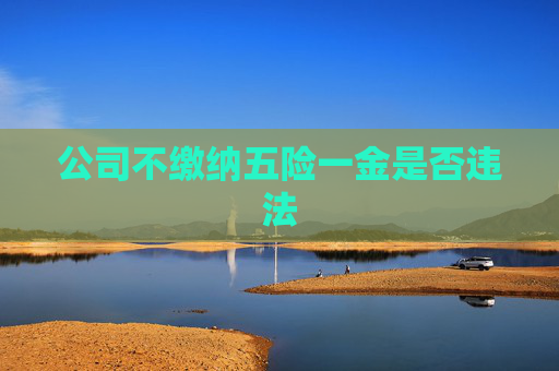 公司不缴纳五险一金是否违法