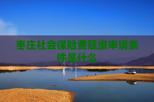 枣庄社会保险费延缴申请条件是什么