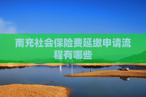 南充社会保险费延缴申请流程有哪些