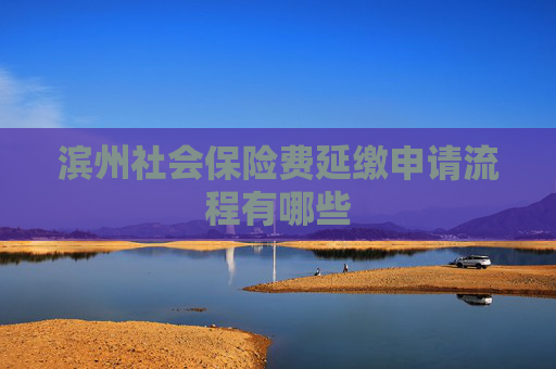 滨州社会保险费延缴申请流程有哪些