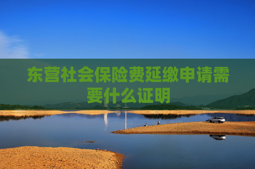 东营社会保险费延缴申请需要什么证明