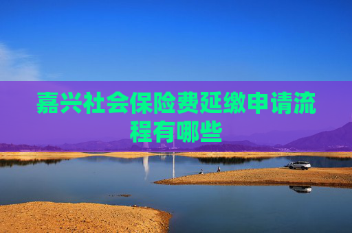 嘉兴社会保险费延缴申请流程有哪些