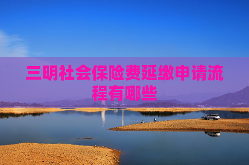 三明社会保险费延缴申请流程有哪些
