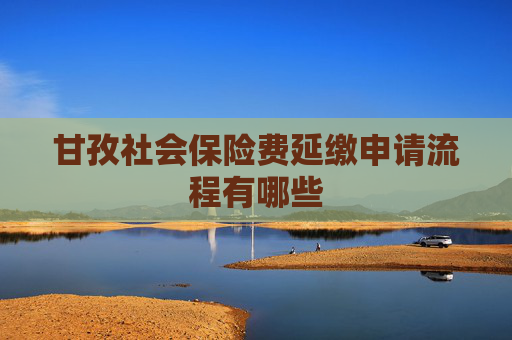 甘孜社会保险费延缴申请流程有哪些