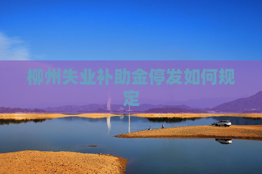 柳州失业补助金停发如何规定